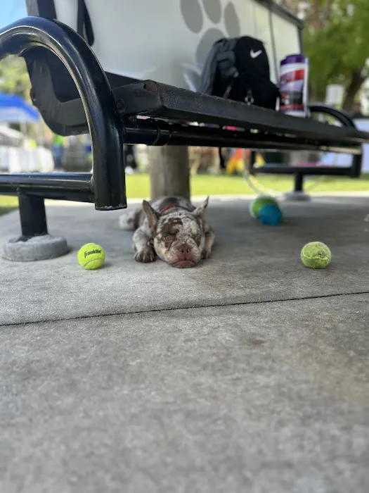 South Miami Dog Park 7