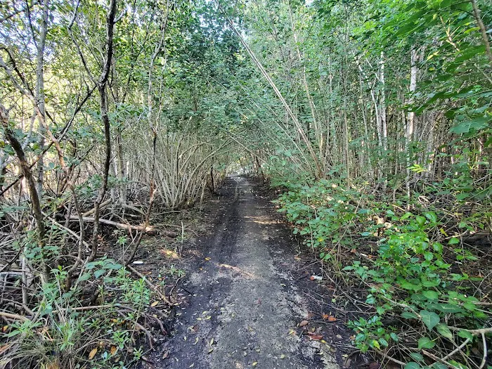 Chapman Trail Dog Park 9