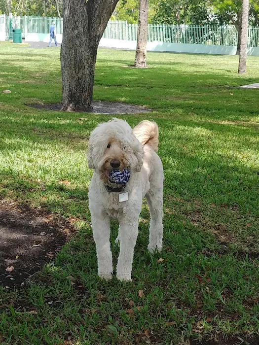 Waterways Dog Park 5