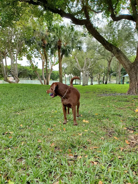 Waterways Dog Park 3