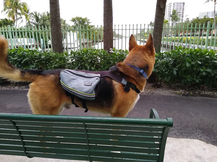 Waterways Dog Park 2