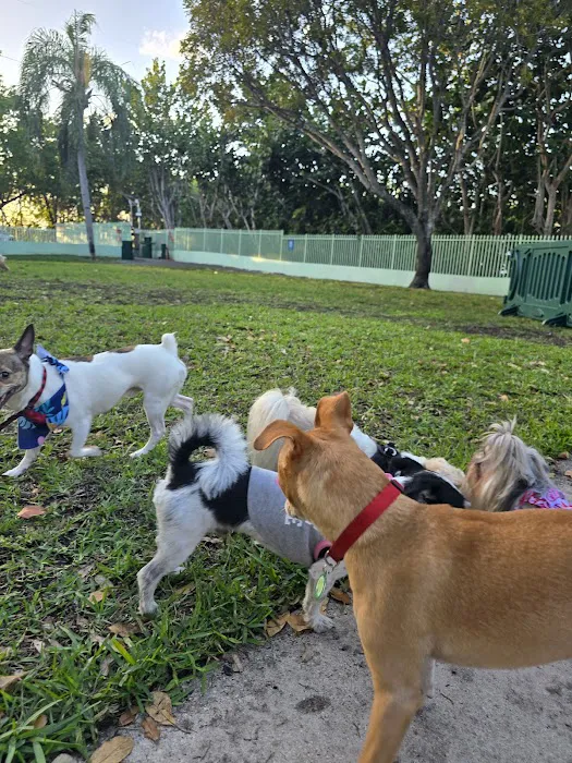 Waterways Dog Park 7