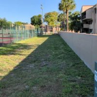 Happy Tappy Dog Park ico