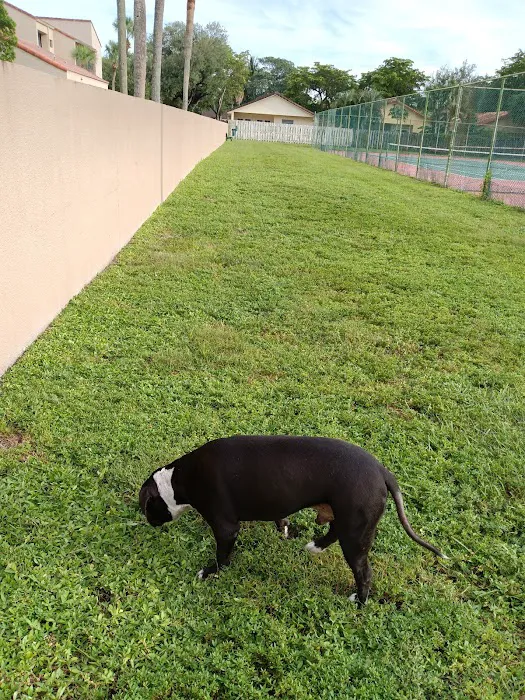 Happy Tappy Dog Park 4