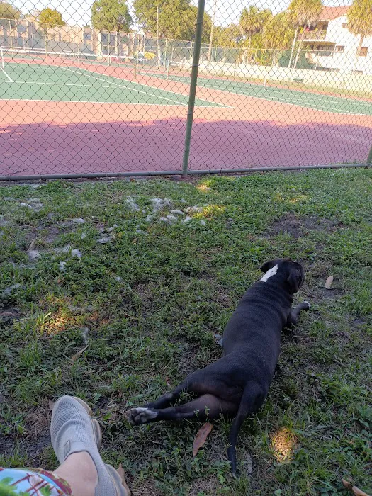 Happy Tappy Dog Park 5