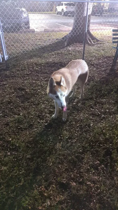 Happy Tappy Dog Park 6