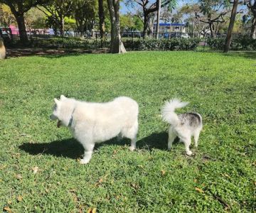 Poinciana Park
