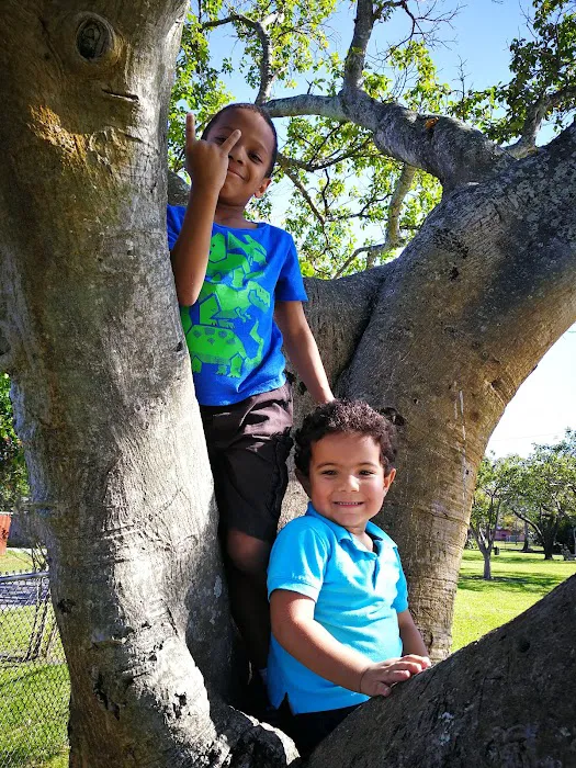 Poinciana Park 8