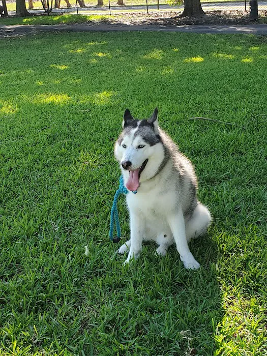 Poinciana Park 10