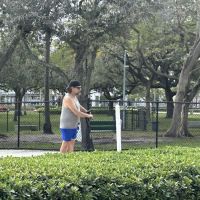 Dog park Young Park ico