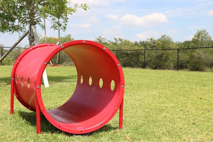 Miramar Paw Central Dog Park 6