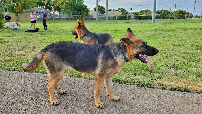 Pembroke Pines Craig Rupp K-9 Dog Park 6