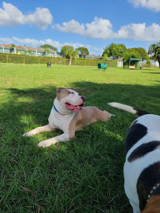 Pembroke Pines Craig Rupp K-9 Dog Park 1