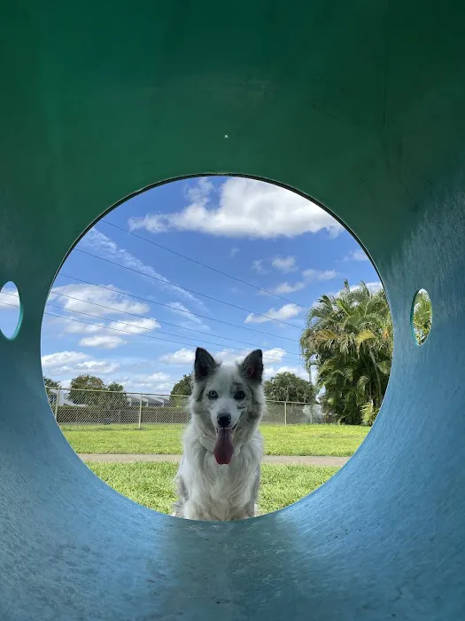 Pembroke Pines Craig Rupp K-9 Dog Park 5