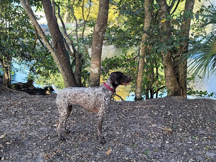 Perrine Wayside Dog Park 8