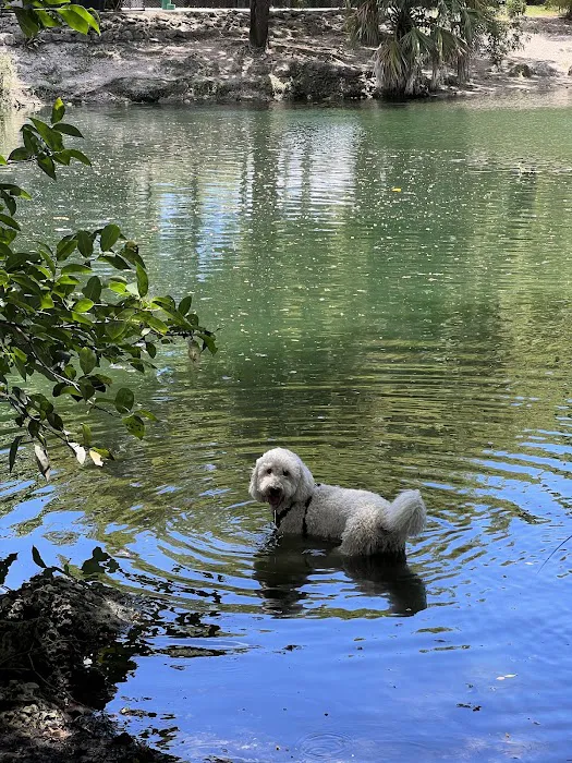 Perrine Wayside Dog Park 7