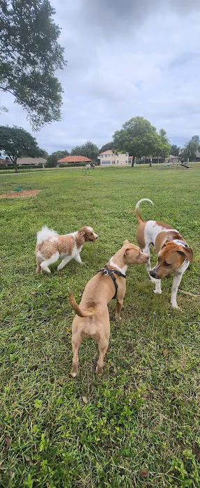 Dog Park 1