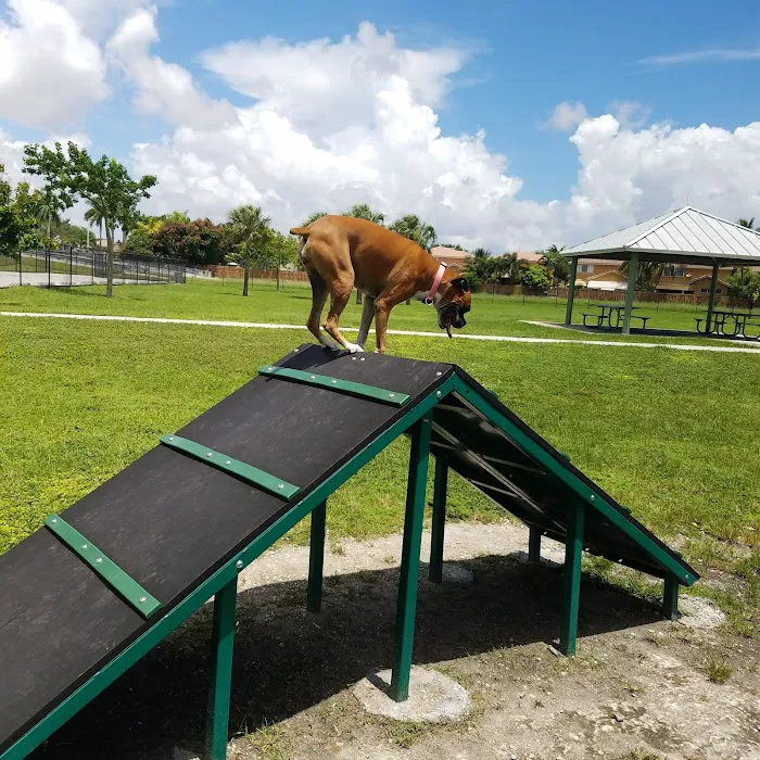 Dog Park 10
