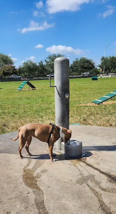 Dog Park 2