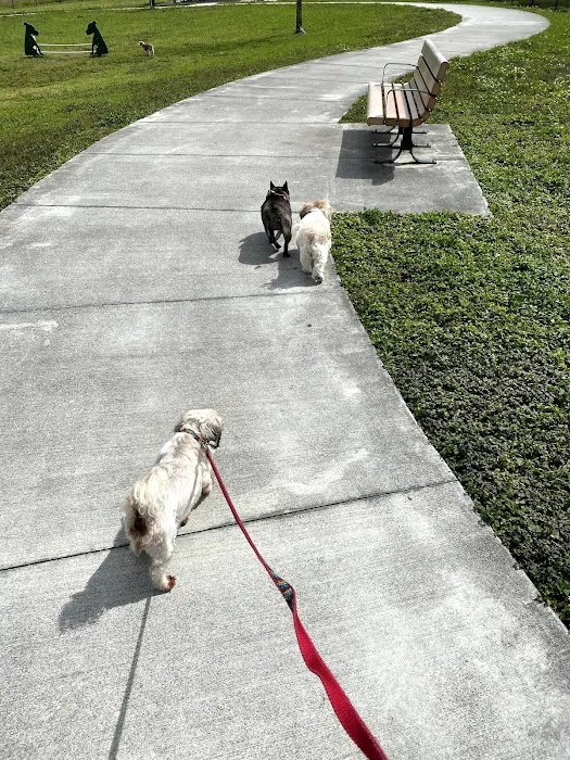 Dog Park 9