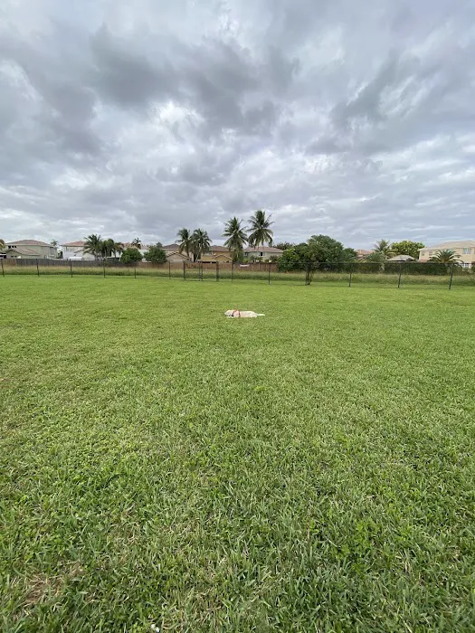 Dog Park 7