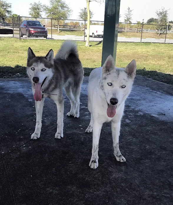 Bark Park 9