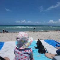 Hollywood Dog Beach ico