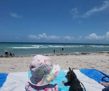 Hollywood Dog Beach