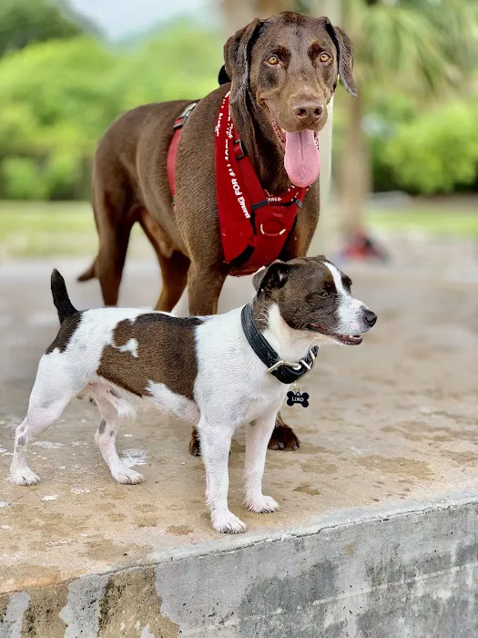 Performance Pups 7