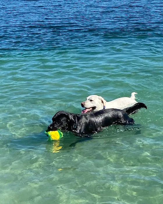 Performance Pups, Inc. 7