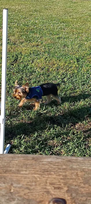 Precious Paws Dog Park 7