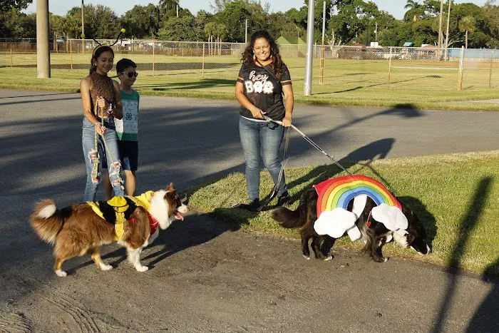 Precious Paws Dog Park 10