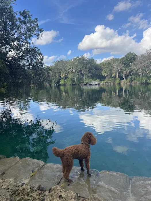 Snyder Bark Park 2