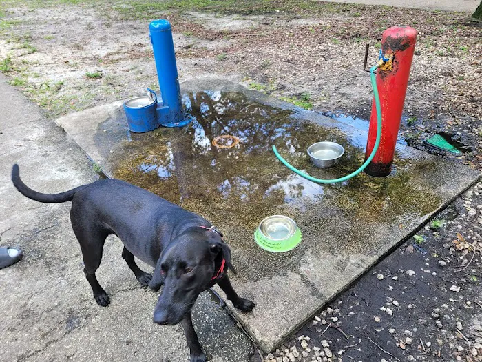 Snyder Bark Park 1