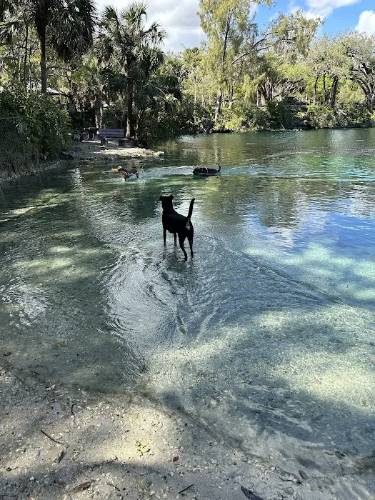 Snyder Bark Park 10