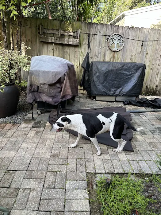Croissant Bark Dog Park 4