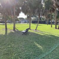 Community Dog Park ico
