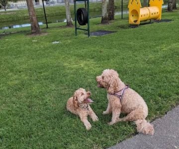 Happy Tails Dog Park