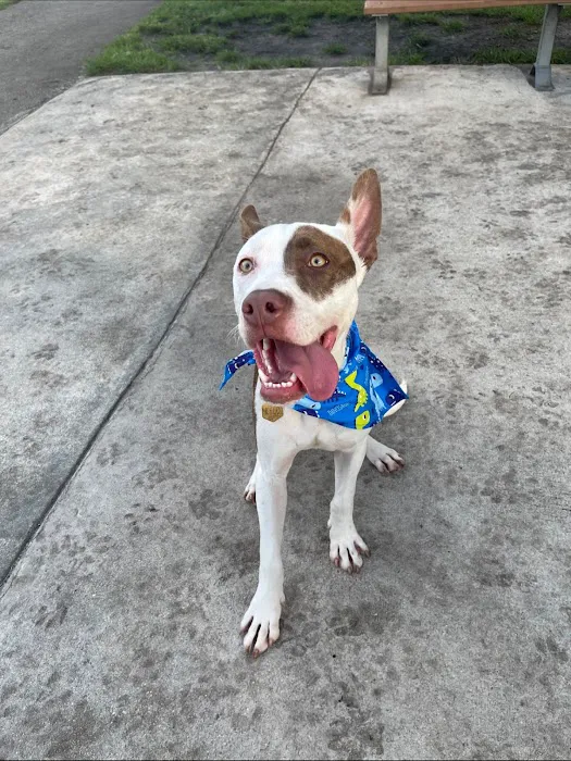 Happy Tails Dog Park 3