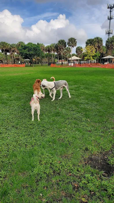 Happy Tails Dog Park 7