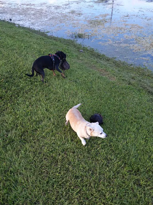 Happy Tails Dog Park 9