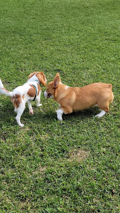 Happy Tails Dog Park 5
