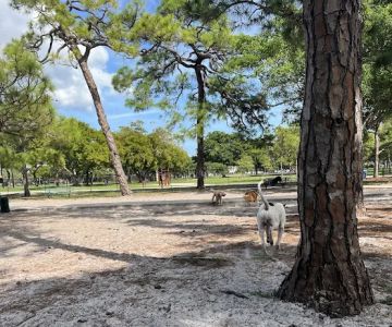 Holiday Park Dog Park
