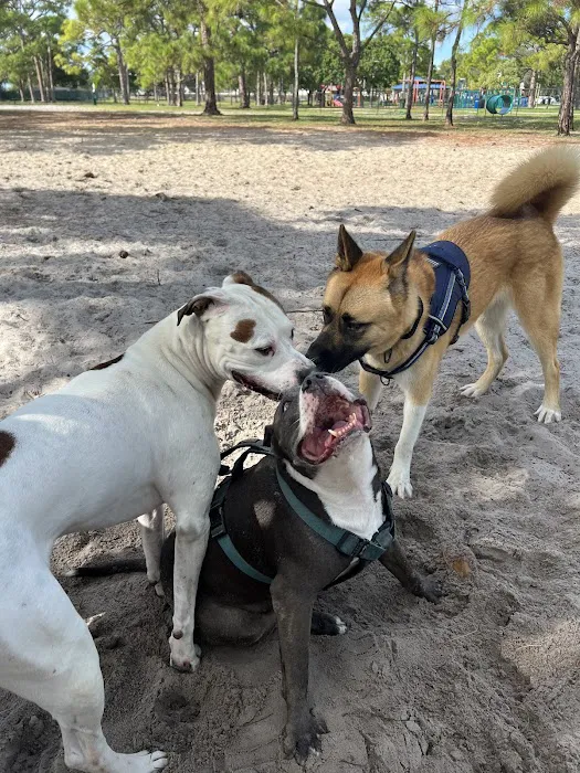 Holiday Park Dog Park 10