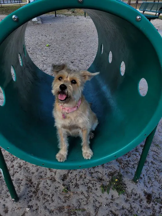 Holiday Park Dog Park 2