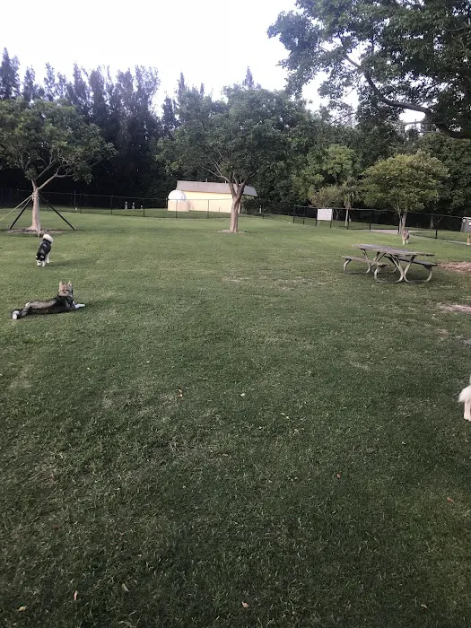 Big Dogs Area 1