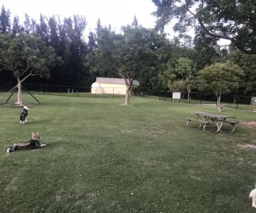Big Dogs Area