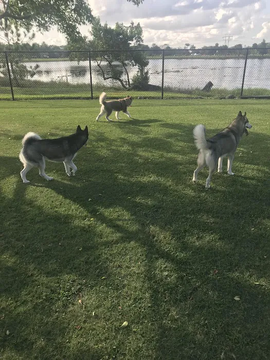 Big Dogs Area 2