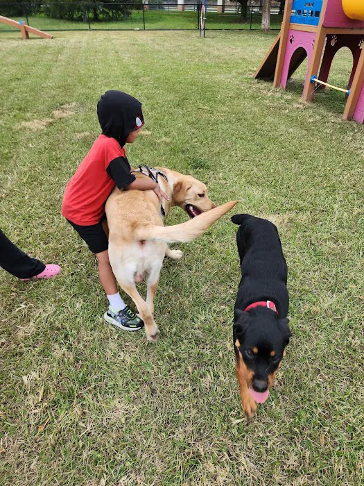 Big Dogs Park 6