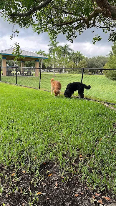 Big Dogs Park 9